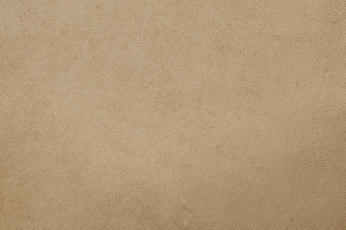 Leather Upholstered Side Chair